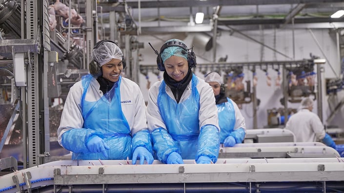 Ferieafløsere søges