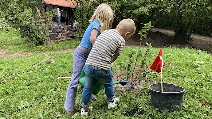 1 kr. pr. bakke kylling til Plant et Træ