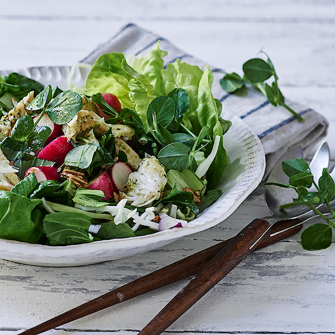 Brystfilet med sommersalat